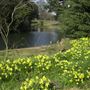 Ravenscourt Park