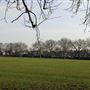 Lammas Park
