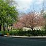 Dorset Square Hotel