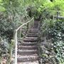 Dulwich Upper Wood