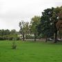 Long/Bell Meadow