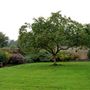 Heathfield House