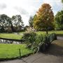 Waddon Ponds
