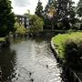 Waddon Ponds