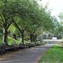 Park Hill Park