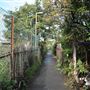 Public Footpath 646