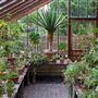 Chelsea Physic Garden
