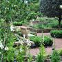 Chelsea Physic Garden