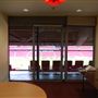 Arsenal Football Club