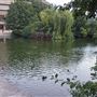 National Archives, The