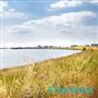 Barking Riverside