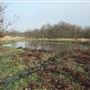 Fairlop Waters