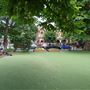 Wimbledon Park Primary School