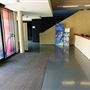 Lee Valley Hockey and Tennis Centre (QEOP)