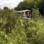 Elmstead Woods  Station
