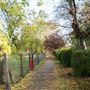 Hendon Park