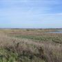 Rainham Marshes - Thames Side
