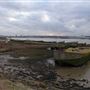 Rainham Marshes - Thames Side