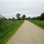Walthamstow Marshes