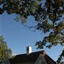 Mill Hill School