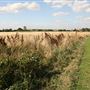 Lee Valley Park