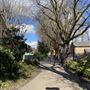 Grove Hall Park