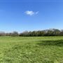 Eltham Park South