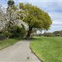 Marlborough Park