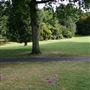 Stephens House & Gardens