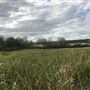 Greenbanks Farm