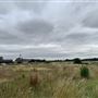 Runaway Farm
