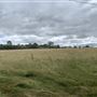 Waddle Farm