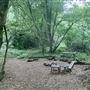 Waddle Farm