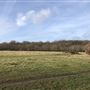 Wanstead Park
