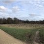 Wanstead Park