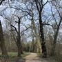 Wanstead Park