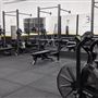 Elite Evolution Gyms - Hackney