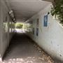 Lea Bridge Road Tunnel