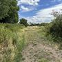 Leyton Marsh
