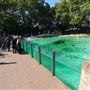London Zoo
