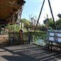 London Zoo