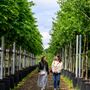 The Tree Nursery at Parkside Yards