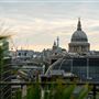 Wagtail Rooftop Bar & Restaurant