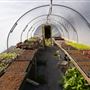 Soul Farm