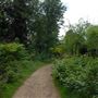 Abney Park Cemetery