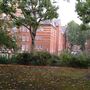 Arnold Circus
