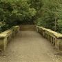 Hampstead Heath