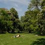 Regent's Park