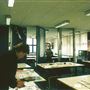 Charles Darwin School