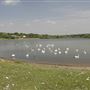 Ruislip Lido